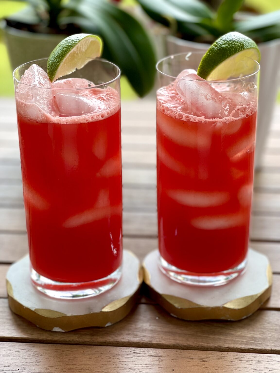 watermelon-lime-agua-fresca-evening-with-a-sandwich