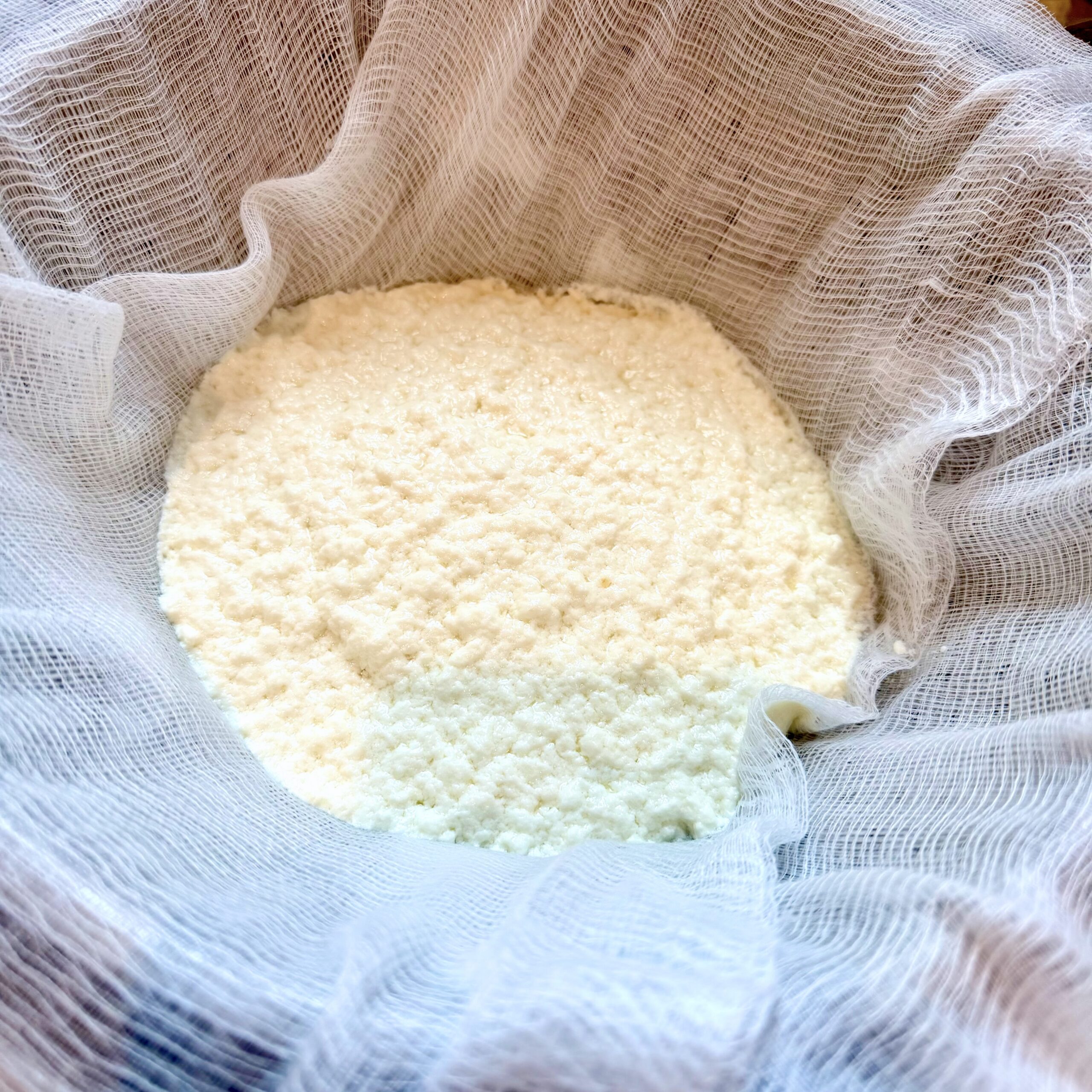 Profresh Ricotto Fresh Homemade Ricotta Cheese - Evening with a Sandwich